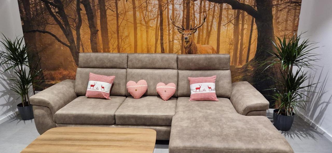 Renatas Ferienwohnung Wohnung David ザスバッハヴァルデン エクステリア 写真
