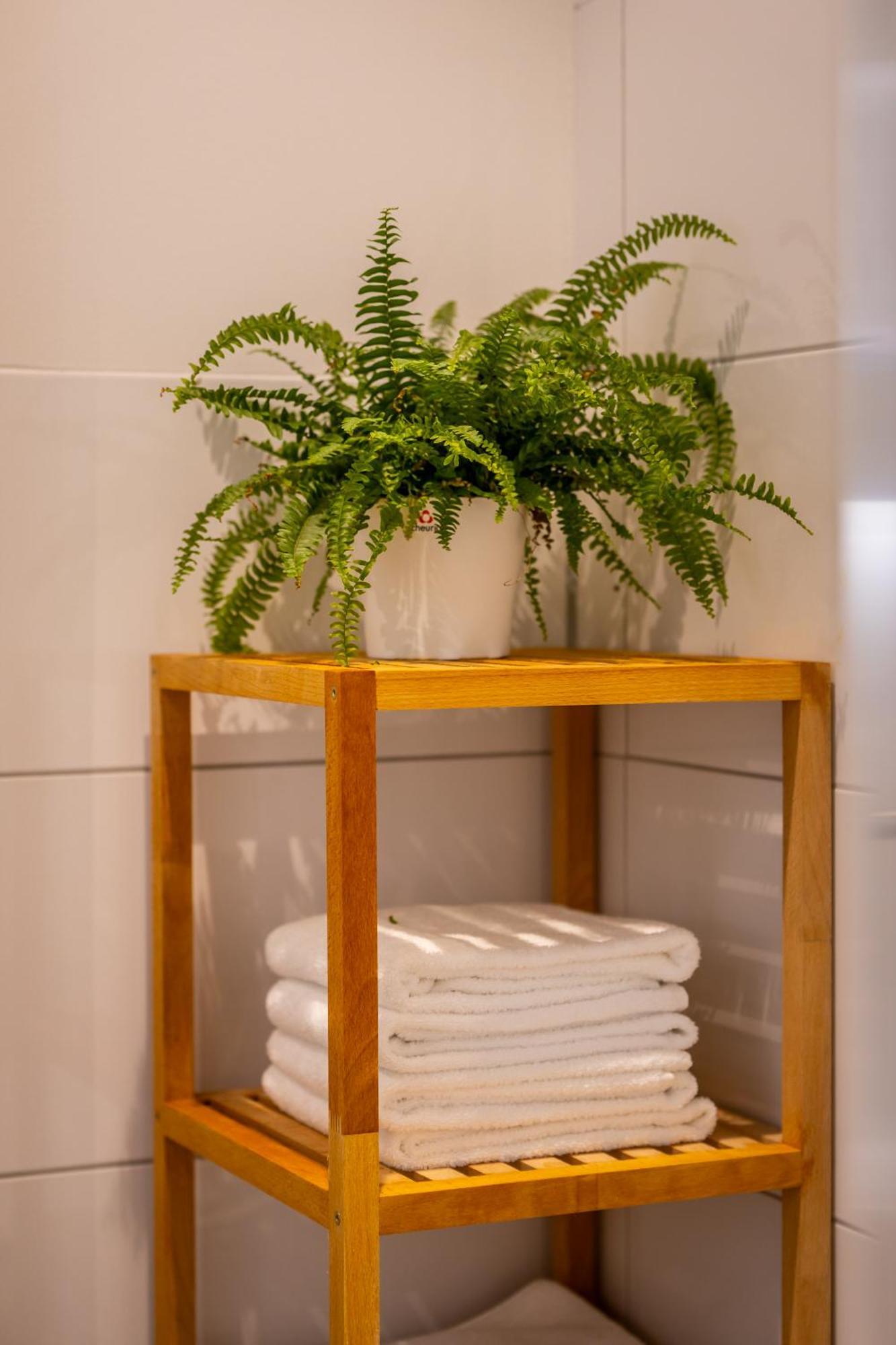 Renatas Ferienwohnung Wohnung David ザスバッハヴァルデン エクステリア 写真